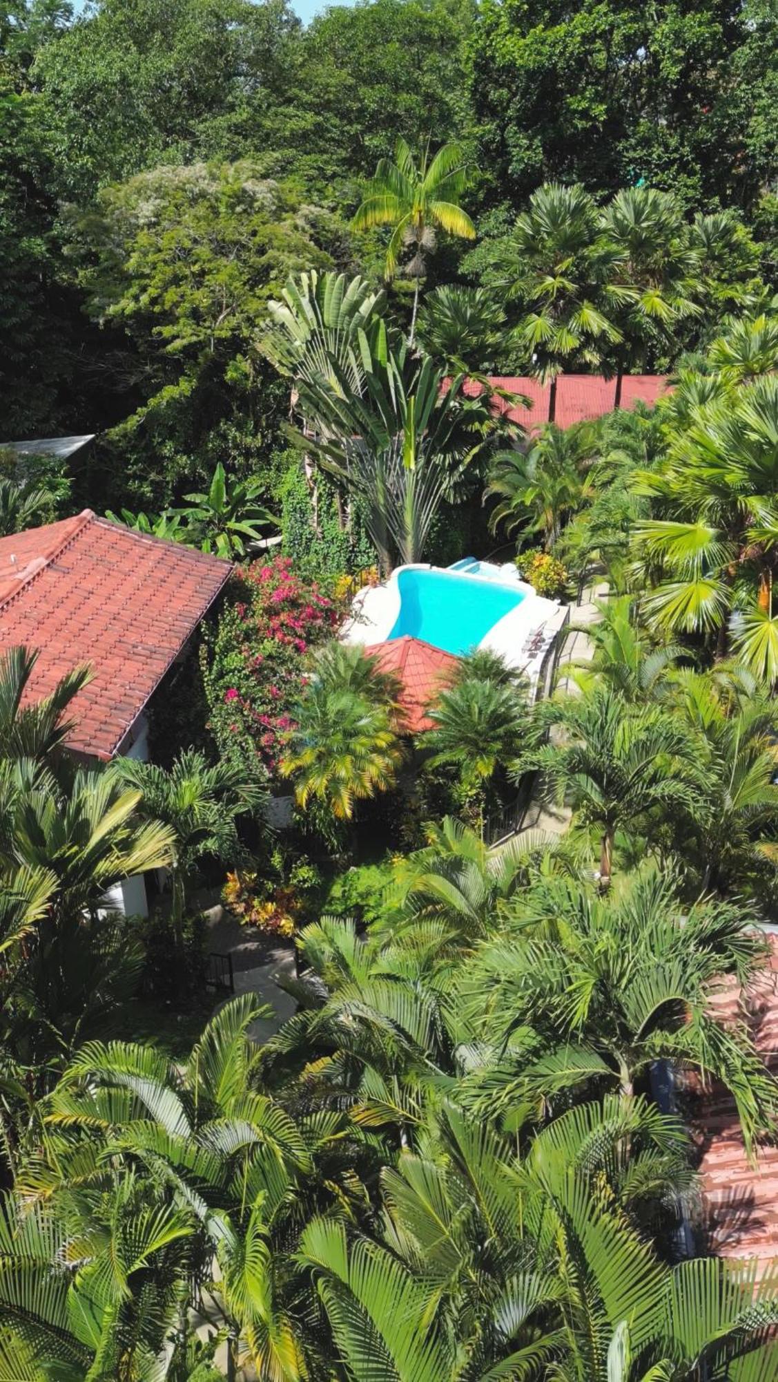 The Scarlet Villas Ojochal Exterior foto